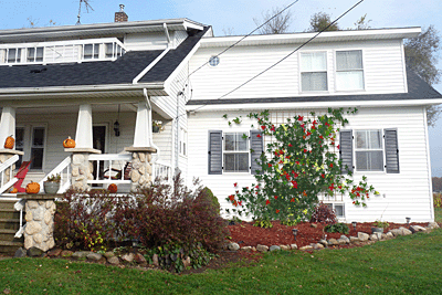 House with white cladding, grey exterior wood shutters and trellis